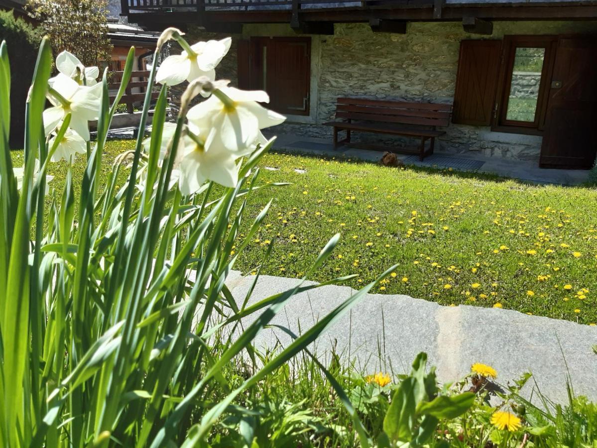 Sauze D'Oulx Ciabot La Garituela With Garden - Wifi- Close To The Chairlift Exteriér fotografie